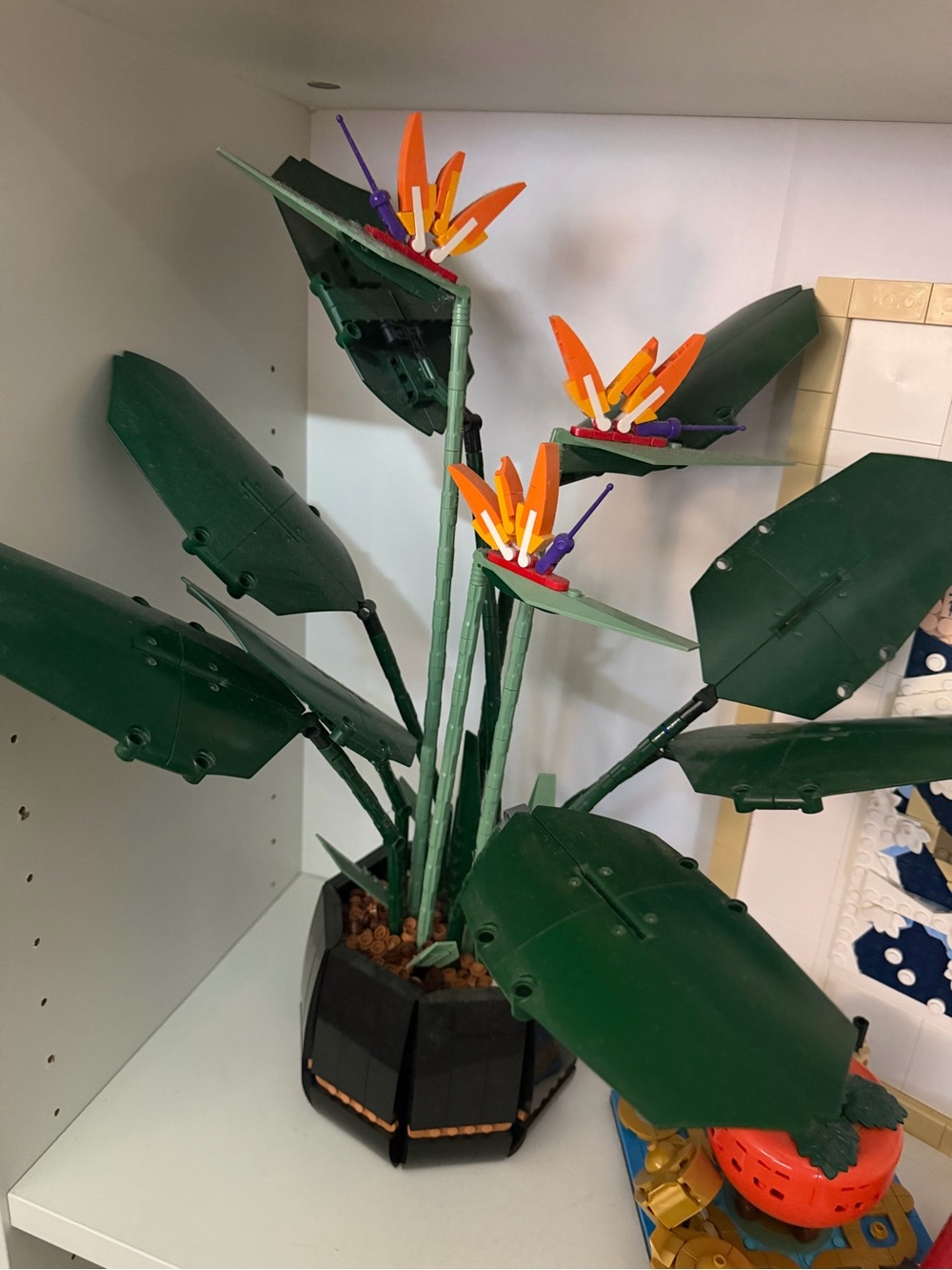 LEGO Bird of Paradise Plant (10289) with booklet
